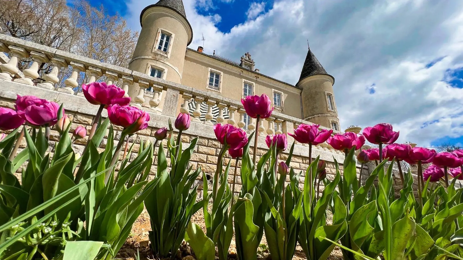 Bed and breakfast Queen'S Escape Martel Francia